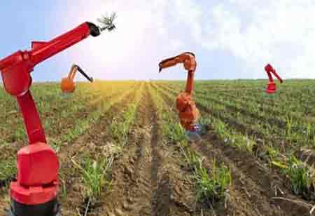 The Future of Farming: How Automation Enhances Agricultural Practices