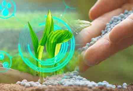Automation in Agriculture: Trends and Insights